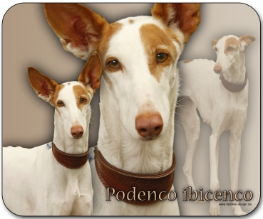 Mousepad Podenco #3